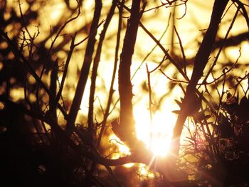 Close-up of sun during sunset