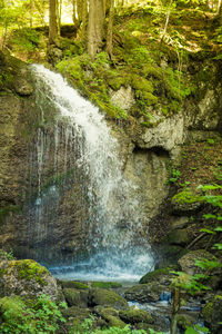 Stream flowing through rocks in forest