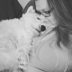 pets