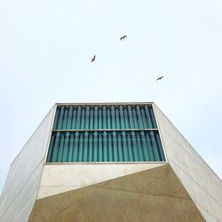 Low angle view of birds flying against sky