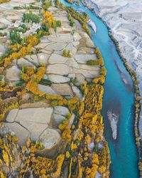 High angle view of trees growing on sea