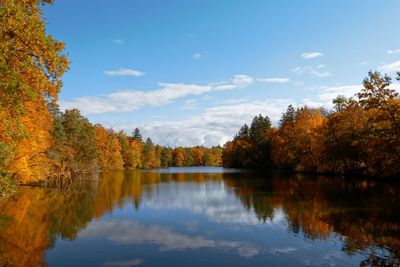 Scenic view of lake by trees against sky during autumn