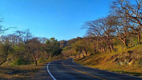 Road amidst trees against clear blue sky