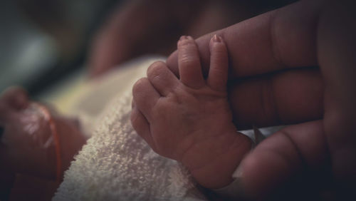 Cropped image of parent and baby holding hands at home