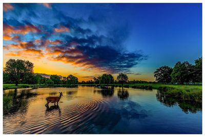 Scenic view of lake against sky during sunset