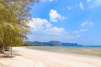 Scenic view of beach against sky