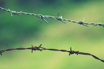 Close-up of barbed wire