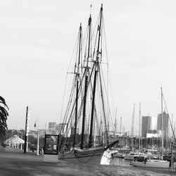 Sailboats moored on harbor against clear sky