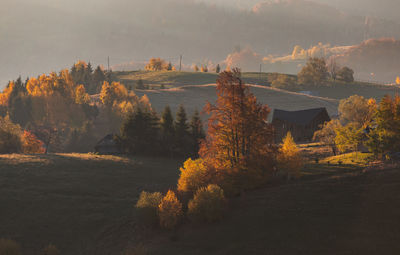 Autumn countryside landscape in transylvania, romania, at the foot of the carpathian mountains