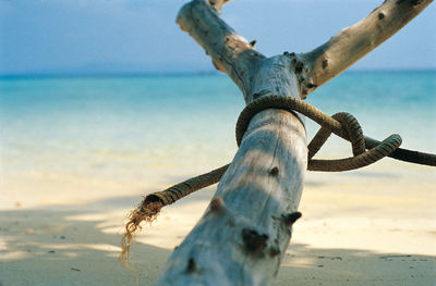 Close-up of driftwood on beach against sky