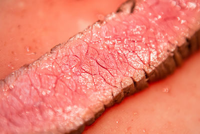 Close-up of wet pink rose on table