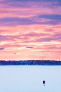 Scenic view of silhouette bird against sky during sunset