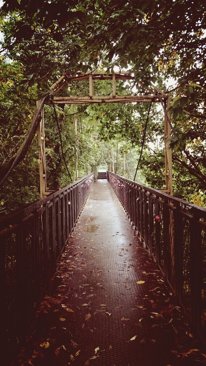 tree, the way forward, nature, railing, outdoors, growth, tranquility, day, no people, beauty in nature, freshness