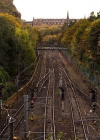 High angle view of railroad tracks amidst trees