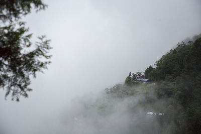 Trees on landscape against sky during foggy weather