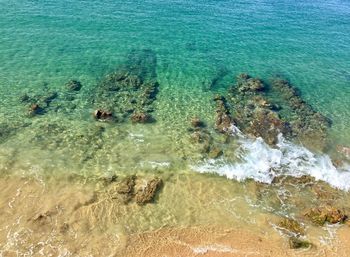 High angle view of swimming underwater