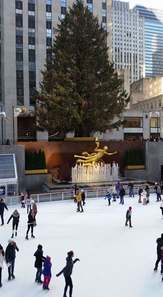architecture, large group of people, built structure, ice rink, real people, leisure activity, lifestyles, building exterior, ice-skating, winter sport, skating, enjoyment, city life, winter, city, men, tree, outdoors, day, people, adult