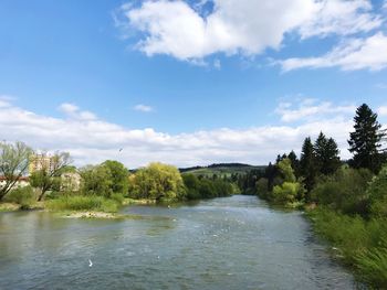 Scenic view of river amidst trees against sky