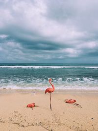 View of birds on beach against the sky