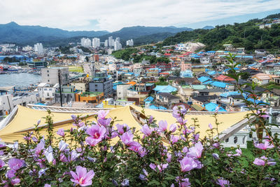 High angle view of townscape by sea against sky