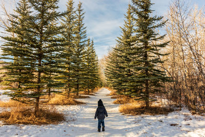 Rear view of woman walking on snow covered land