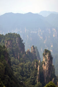 High angle view of trees and mountains against sky