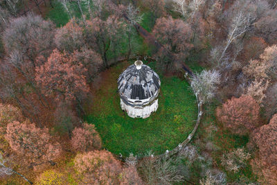 High angle view of trees in forest