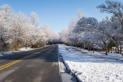 Road amidst trees against sky during winter