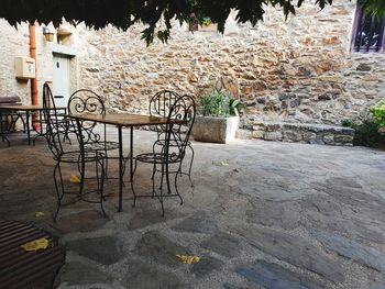 Chair and plants against trees