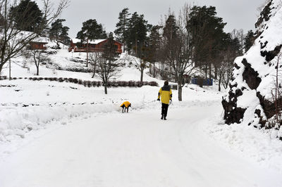 Rear view of people walking on snow covered trees