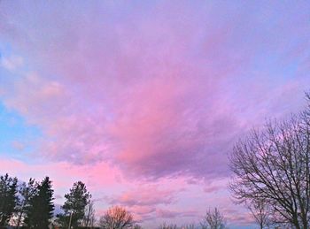 Low angle view of trees against cloudy sky