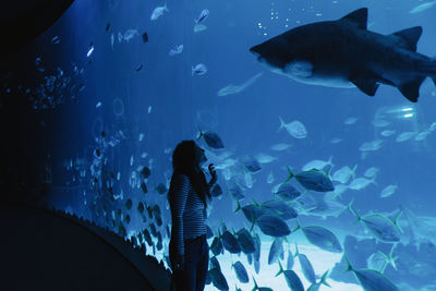 Side view of satisfied young lady in casual wear smiling while looking on big fish through glass in modern oceanarium
