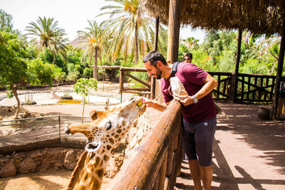 Rear view of couple on palm trees