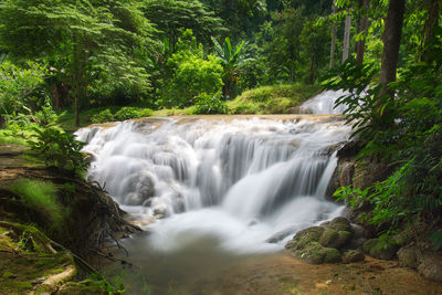 Scenic view of waterfall in forest