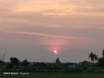 Scenic view of field against sky during sunset