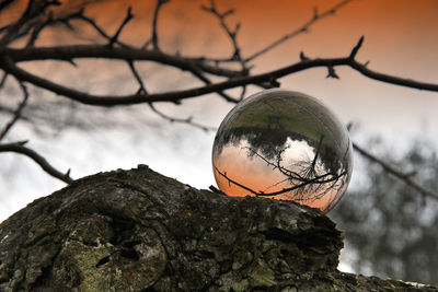 Low angle view of crystal ball on rock against sky