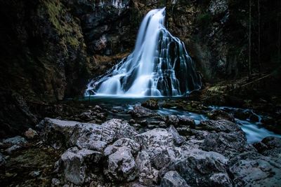 Scenic view of waterfall in forest