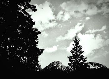 Low angle view of silhouette trees against sky