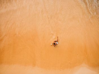 Aerial view of man sitting at beach