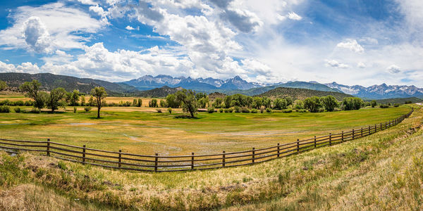 Scenic view of field against sky