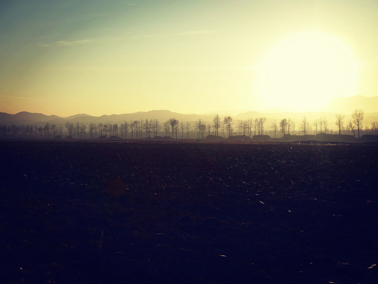 landscape, sunset, tranquil scene, tranquility, scenics, field, silhouette, clear sky, sun, beauty in nature, copy space, nature, sky, mountain, sunlight, rural scene, idyllic, outdoors, no people, horizon over land