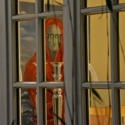 Close up of plant against blurred background