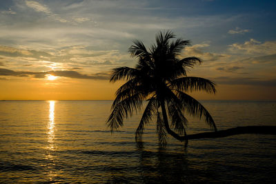 Silhouette palm tree by sea against sunset sky