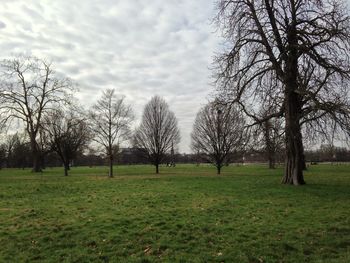 Trees on field against cloudy sky