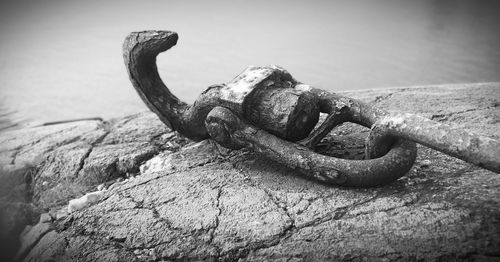 Close-up of rusty chain on rock