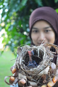 Close-up of a bird nest