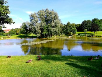 Scenic view of lake against sky