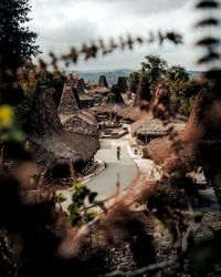 Panoramic shot of trees on field against sky