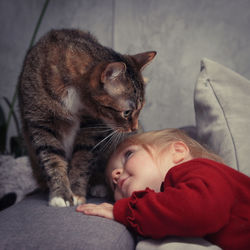 Cute boy sleeping in a cat