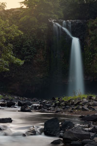 Scenic view of waterfall in forest